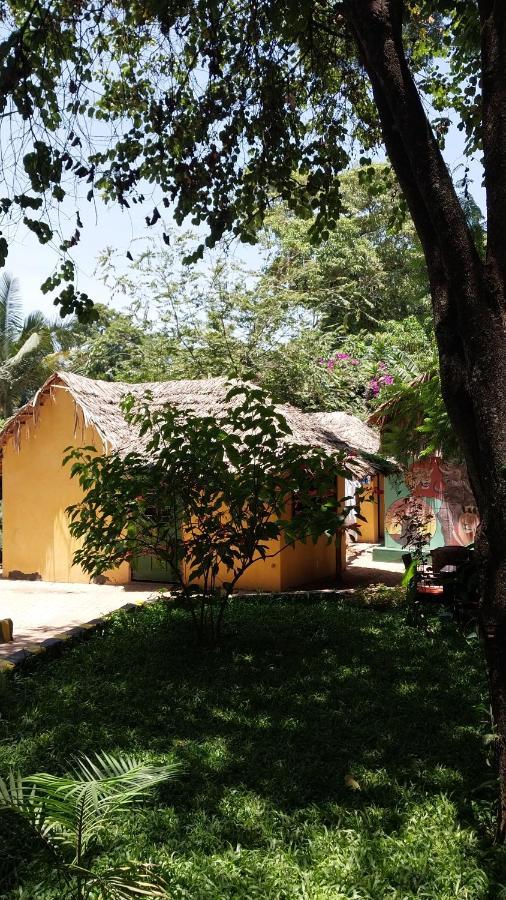 Green Garden Guest House Arusha Eksteriør bilde