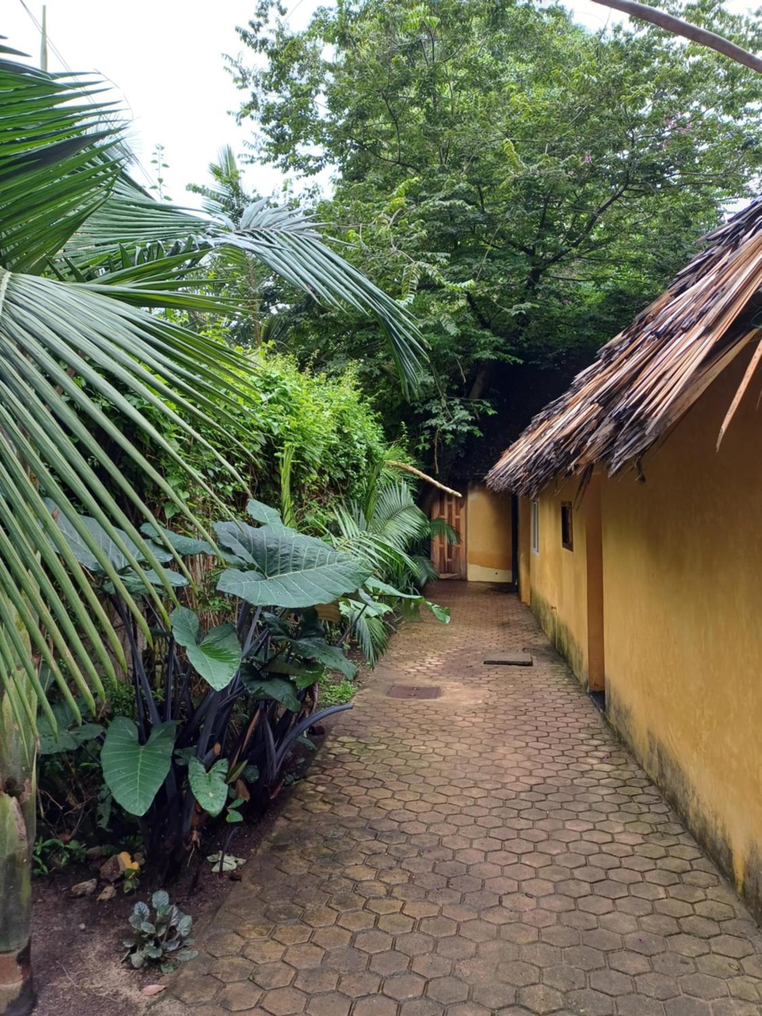 Green Garden Guest House Arusha Eksteriør bilde